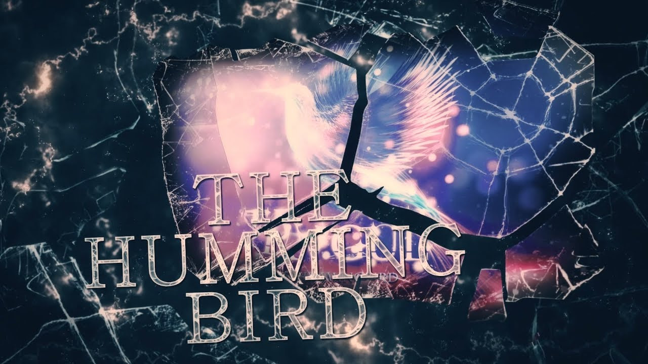 "The Hummingbird" lyric video de Tragul